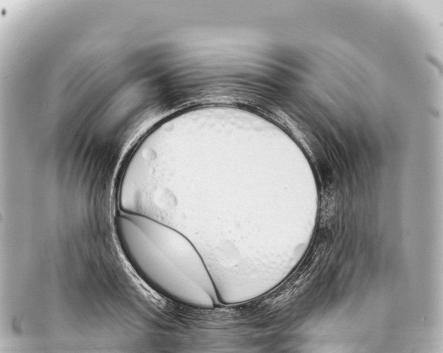 X0000093360795200711081513