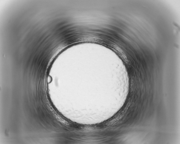 X0000093360796200711081513