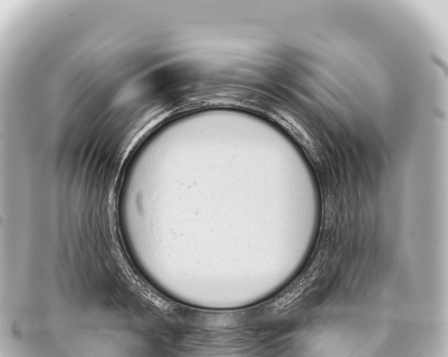X0000093360798200711081513