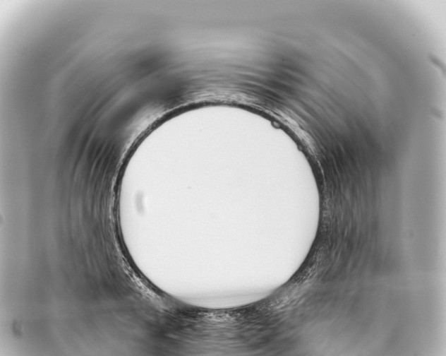 X0000093360799200711081513