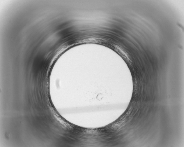 X0000093360800200711081513