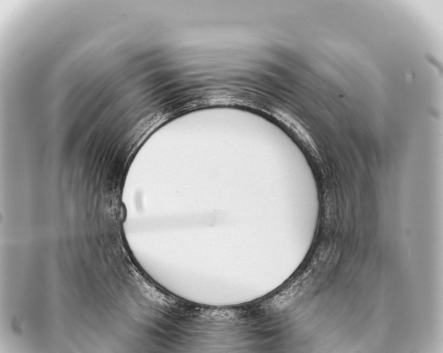 X0000093360801200711081513