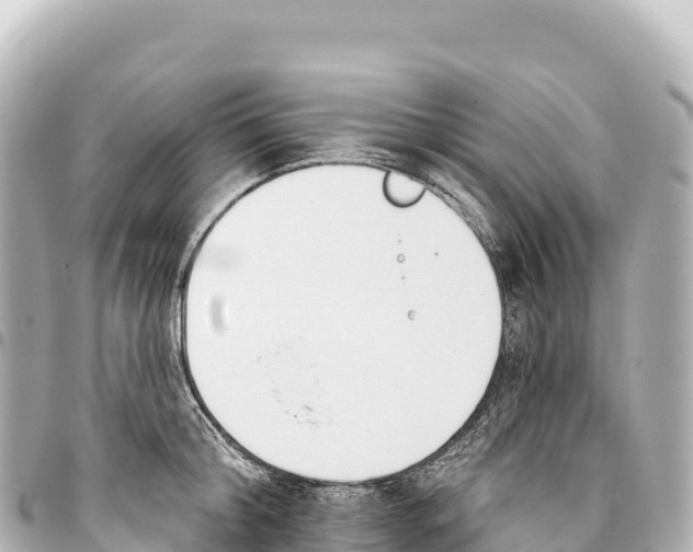 X0000093360804200711081513