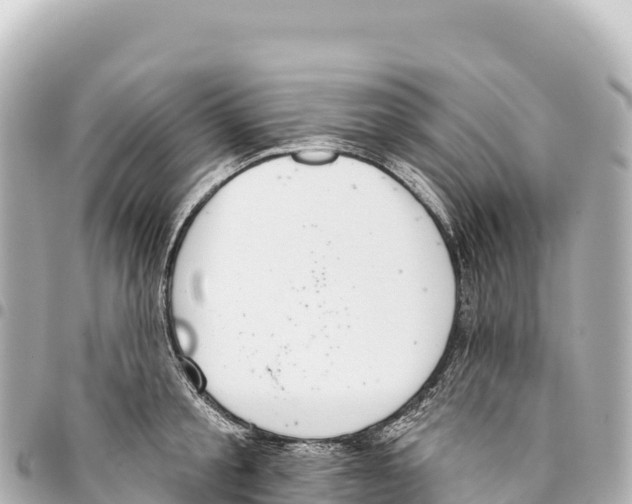 X0000093360805200711081513