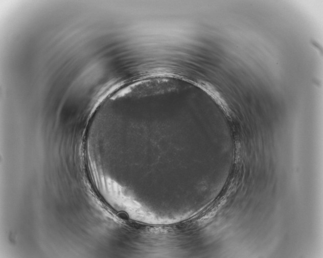 X0000093360806200711081513