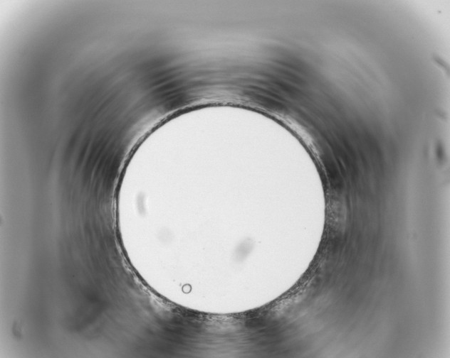 X0000093360807200711081513