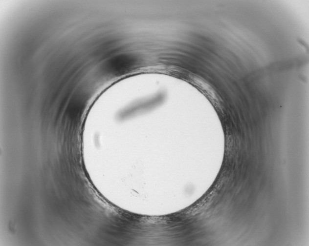 X0000093360808200711081513