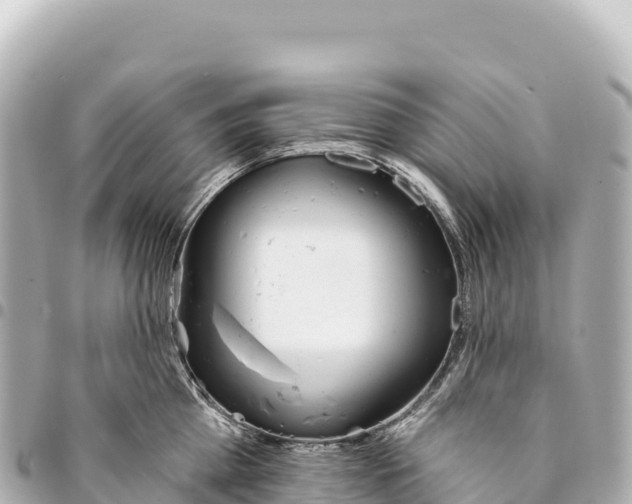 X0000093360809200711081513