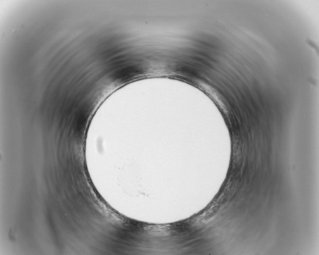 X0000093360810200711081513