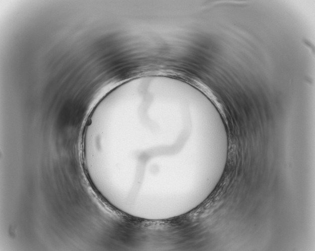 X0000093360811200711081513
