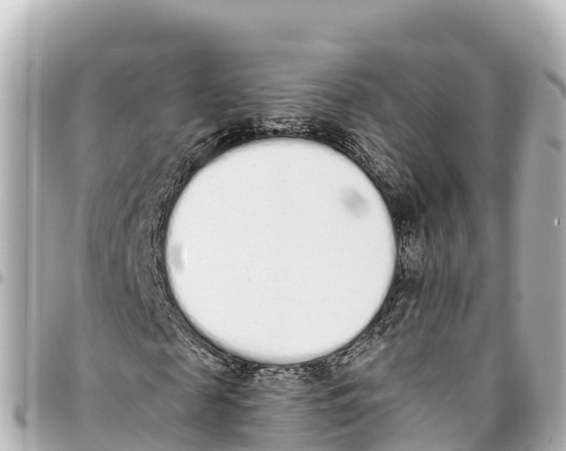 X0000093360817200711081512