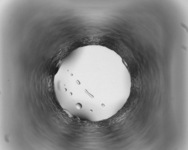 X0000093360818200711081512