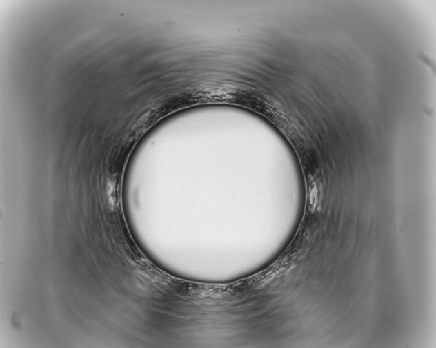 X0000093360819200711081512
