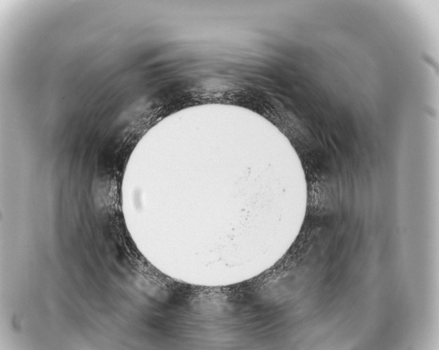 X0000093360820200711081512