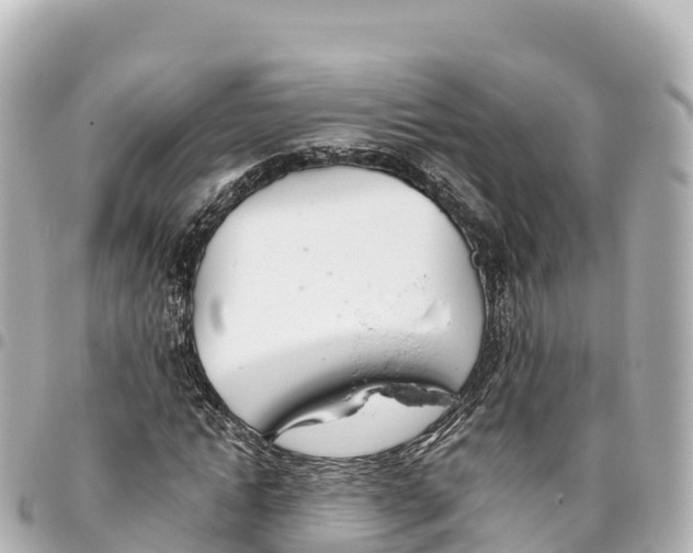 X0000093360822200711081512