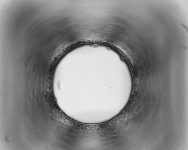 X0000093360823200711081512