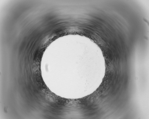X0000093360824200711081512