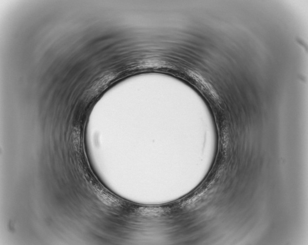 X0000093360825200711081512