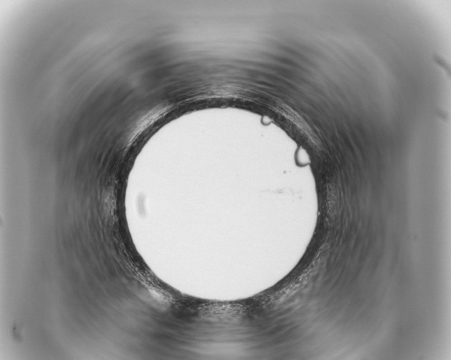 X0000093360826200711081512