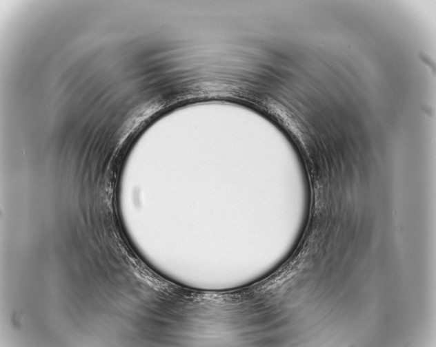 X0000093360827200711081512