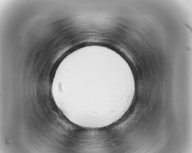 X0000093360829200711081513