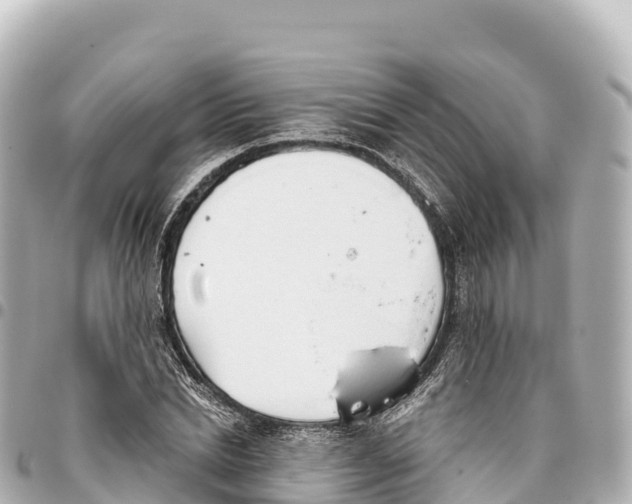 X0000093360830200711081513