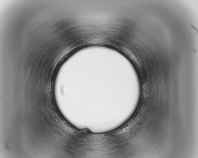 X0000093360831200711081513