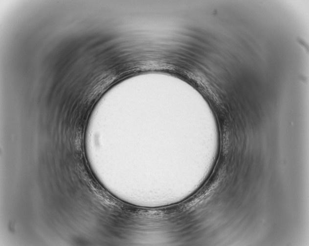 X0000093360833200711081513