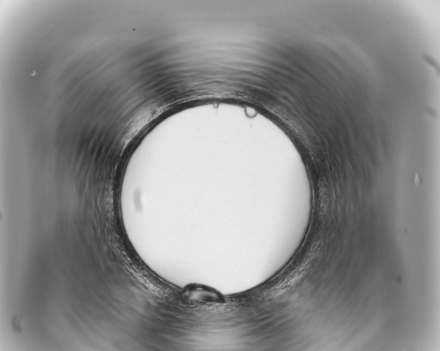 X0000093360834200711081513