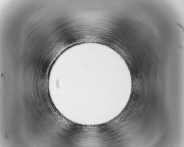 X0000093360836200711081513