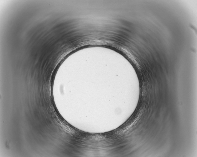 X0000093360837200711081513