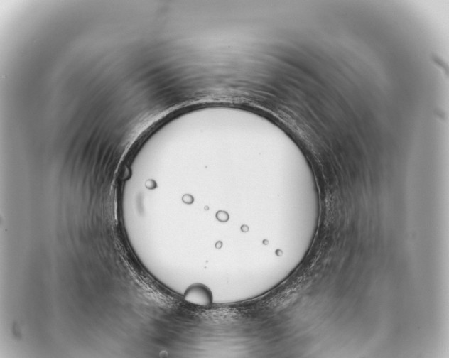 X0000093360838200711081513