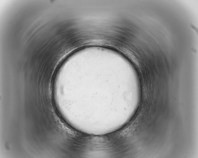X0000093360839200711081513