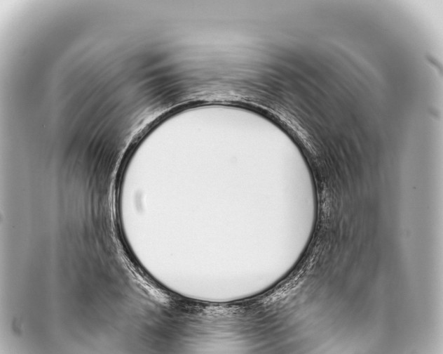 X0000093360840200711081513