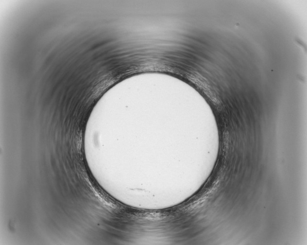 X0000093360841200711081513