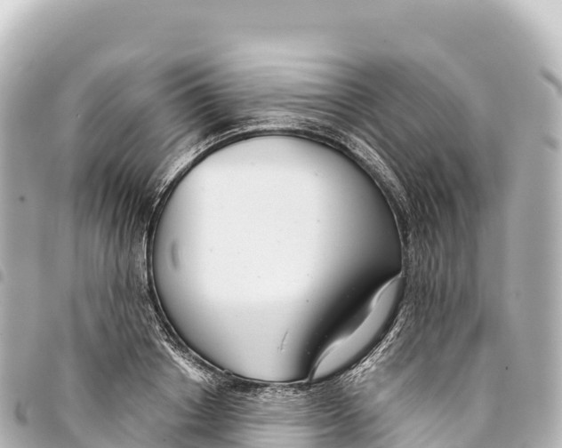 X0000093360842200711081513