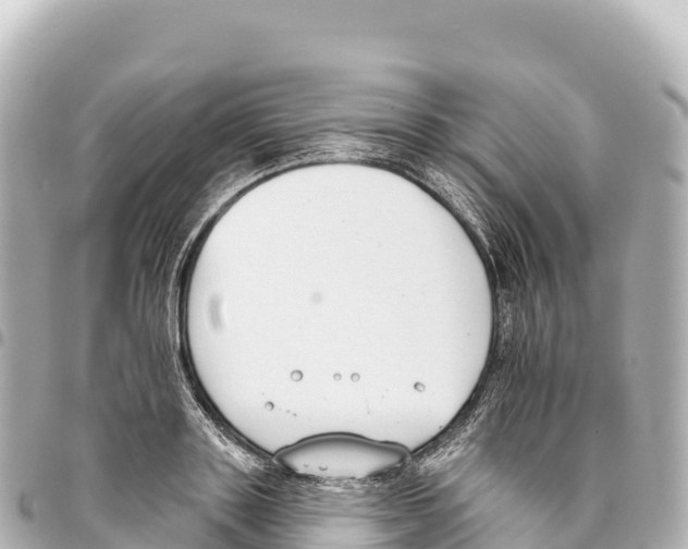 X0000093360843200711081513