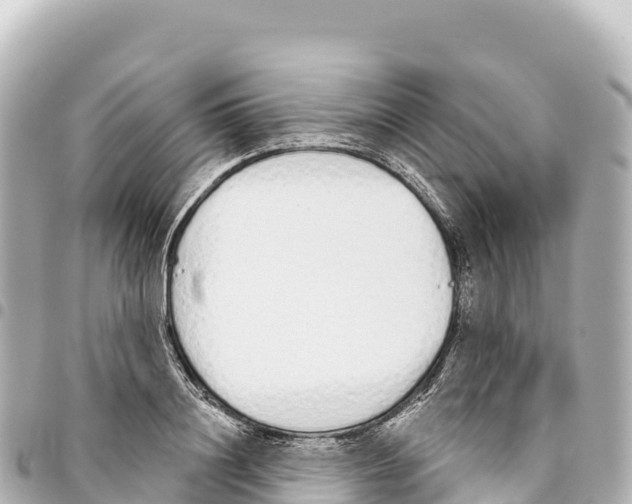 X0000093360844200711081513