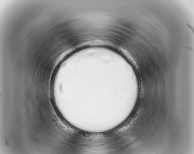 X0000093360845200711081513
