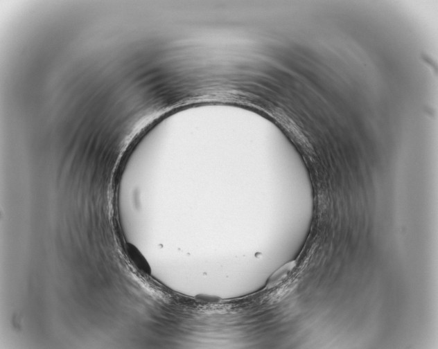 X0000093360846200711081513
