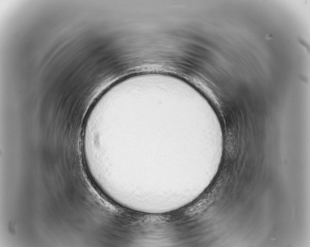 X0000093360847200711081513
