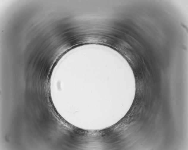 X0000093360848200711081513