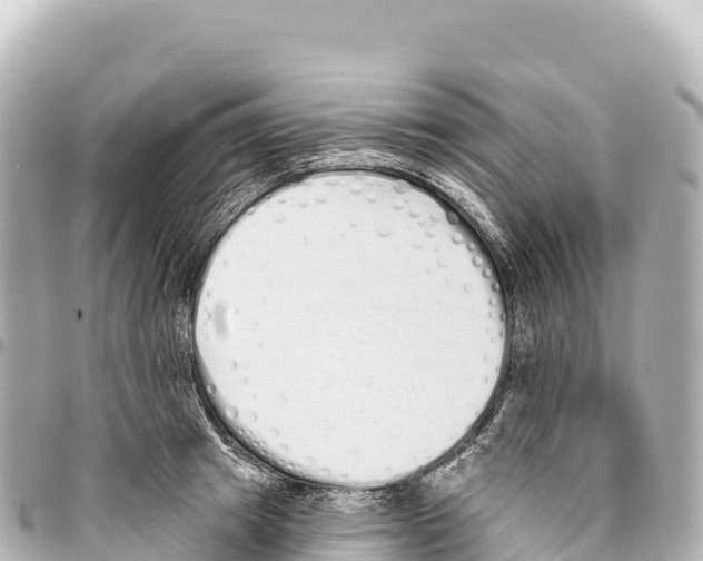 X0000093360849200711081513