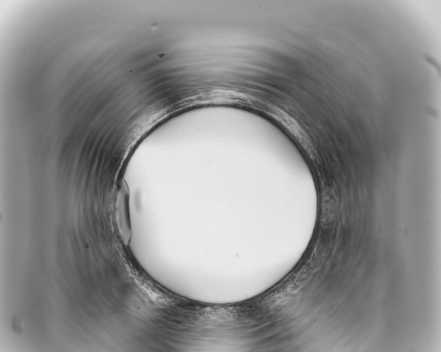 X0000093360850200711081513