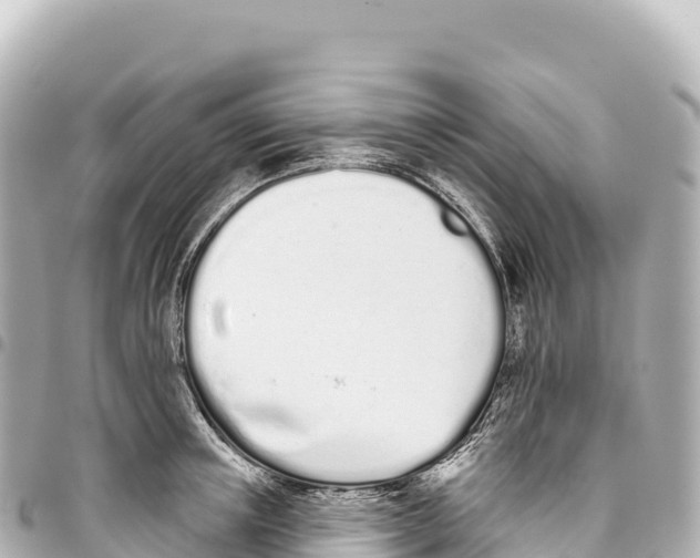 X0000093360851200711081513