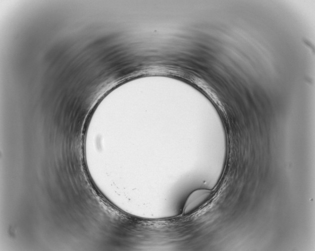 X0000093360853200711081513