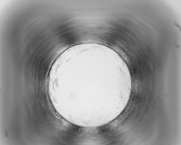 X0000093360856200711081513