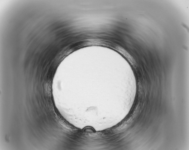 X0000093360857200711081513