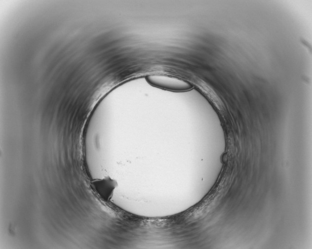 X0000093360858200711081513