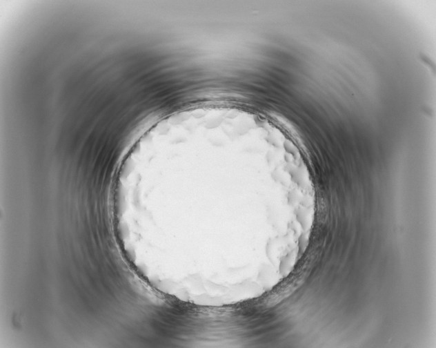 X0000093360859200711081513